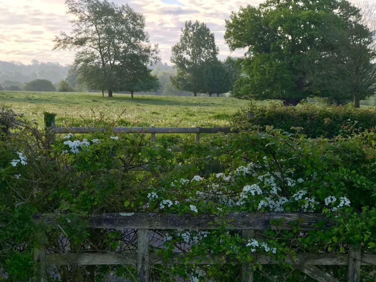 Potts Farm Villa Tenterden Exteriör bild